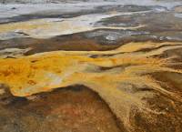 Dépôts minéraux et cyanobactéries dans un source chaude (Yellowstone NP, USA)